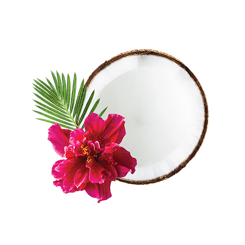 coconut and hibiscus